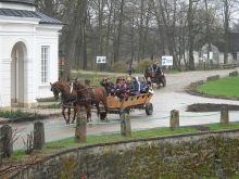 Trening podstawowych kompetencji społecznych w Kurozwękach