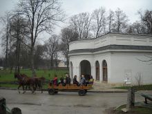 Trening podstawowych kompetencji społecznych w Kurozwękach