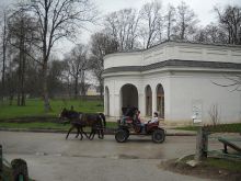 Trening podstawowych kompetencji społecznych w Kurozwękach