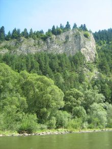Kolonia dla 12 dzieci (osób zależnych) w Pieniny 