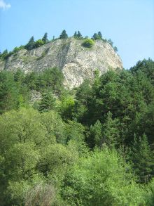 Kolonia dla 12 dzieci (osób zależnych) w Pieniny 