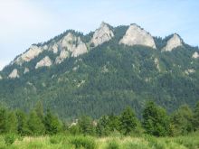Kolonia dla 12 dzieci (osób zależnych) w Pieniny 