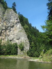 Kolonia dla 12 dzieci (osób zależnych) w Pieniny 