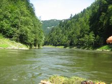 Kolonia dla 12 dzieci (osób zależnych) w Pieniny 