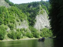 Kolonia dla 12 dzieci (osób zależnych) w Pieniny 