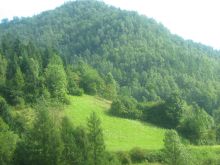 Kolonia dla 12 dzieci (osób zależnych) w Pieniny 