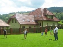 Kolonia dla 12 dzieci (osób zależnych) w Pieniny 