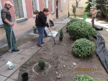 Florystyka i aranżacja terenów zielonych