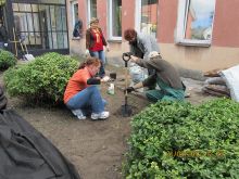 Florystyka i aranżacja terenów zielonych